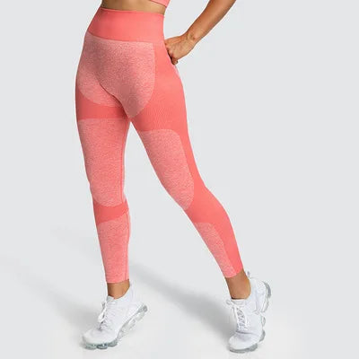 women sports clothes,female sport wears, sports wear women's,female gym clothes, women's gym clothes,exercise outfit for ladies