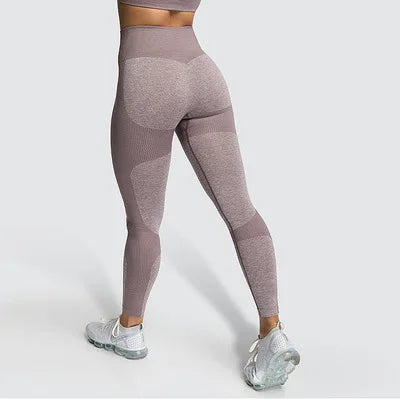 women sports clothes,female sport wears, sports wear women's,female gym clothes, women's gym clothes,exercise outfit for ladies